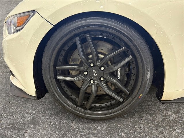 2015 Ford Mustang GT 50 Years Limited Edition