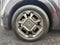 2025 Kia Carnival Hybrid EX